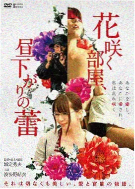 深海回声电影封面图